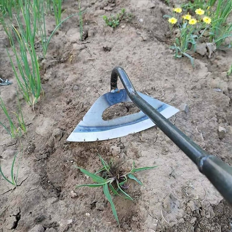 61B0ksguI0L._AC_UF1000,1000_QL80_