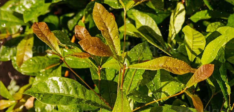 Screenshot 2025-03-18 115402