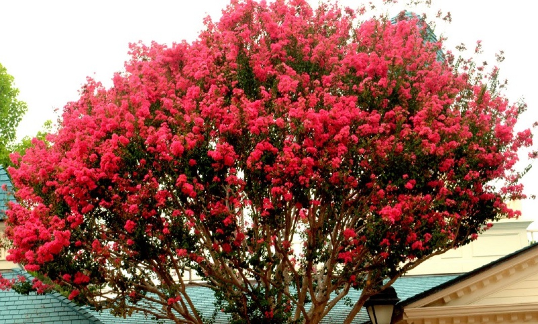 s571206031129726741_p38_i4_w640